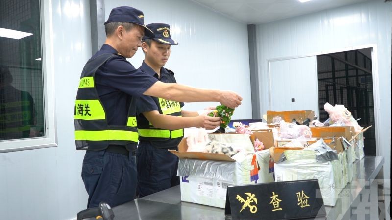 查獲74件疑似侵權泡泡瑪特玩偶