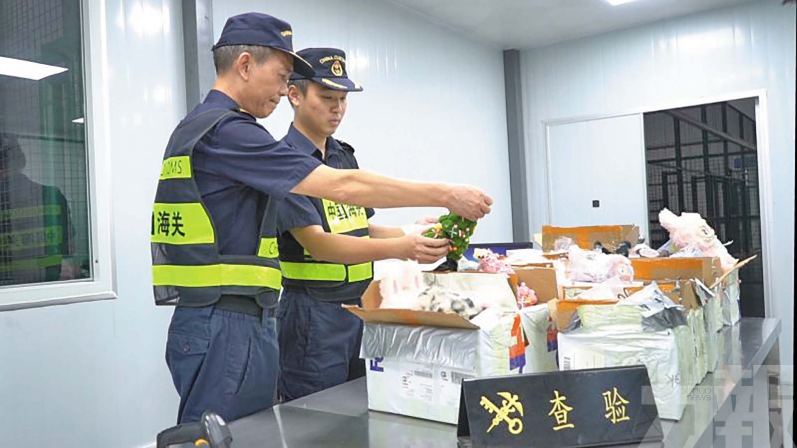 查獲74件疑似侵權泡泡瑪特玩偶