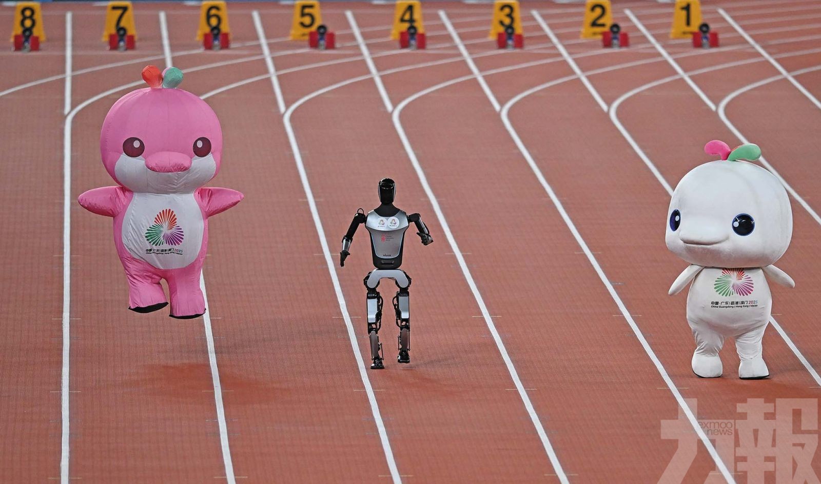 陳妤頡封后 李澤洋稱王