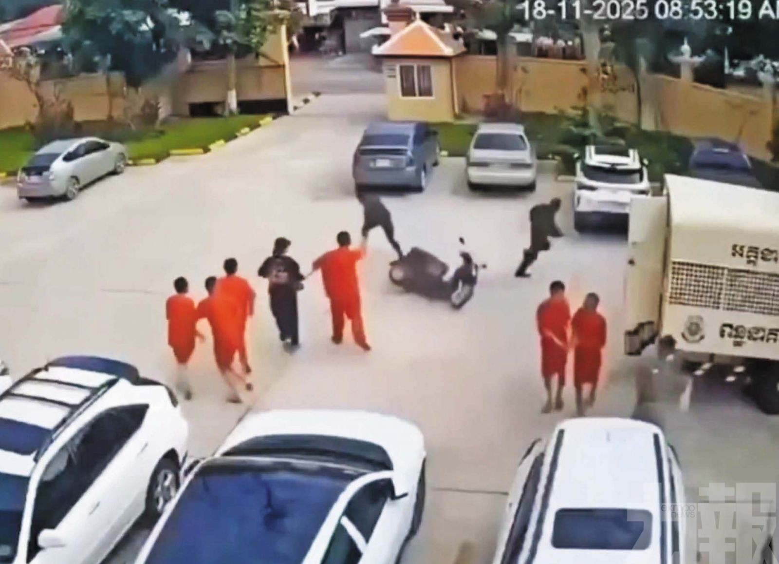 高顏值越女柬埔寨劫囚救夫 獲網封「江湖最後大嫂」