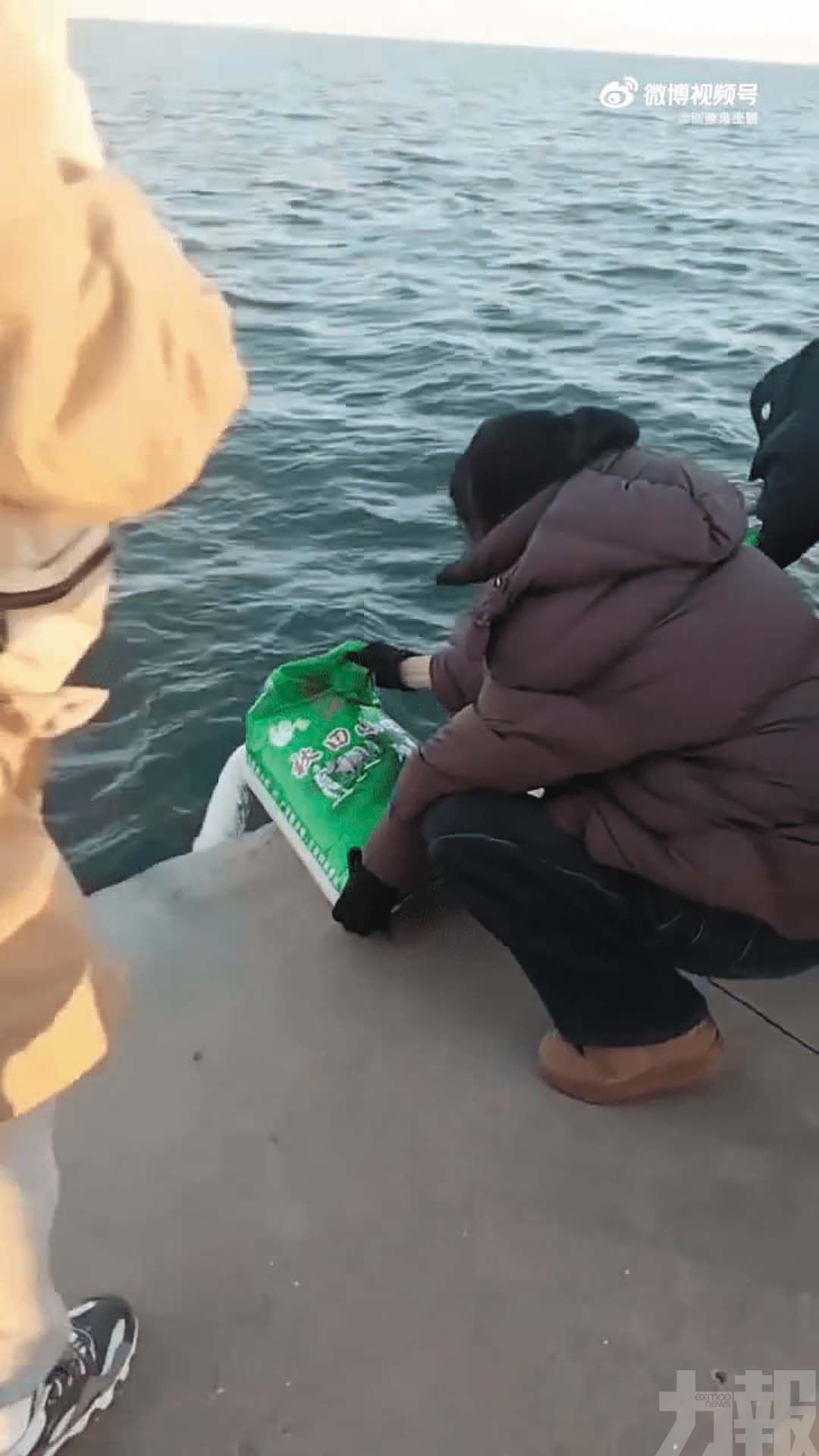 當局：屬個人行為或破壞海洋生態