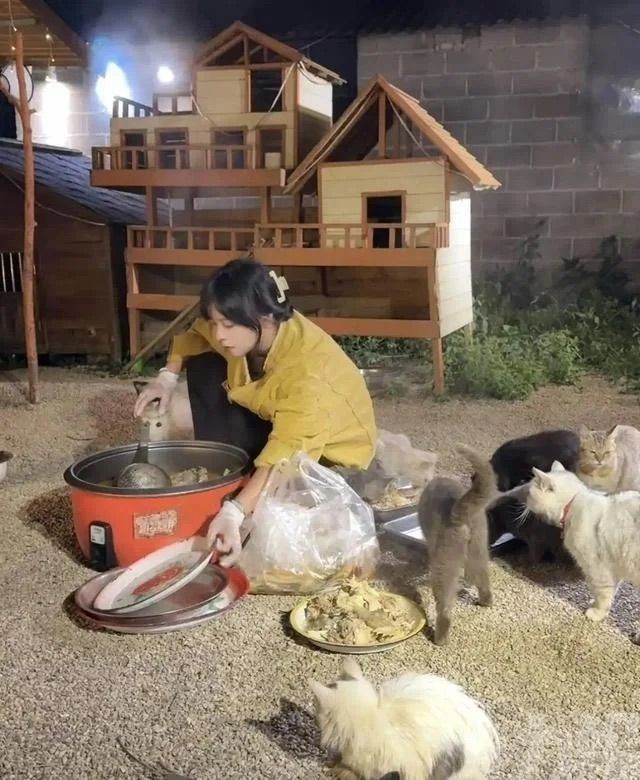 雲南女蹭百場婚宴救毛孩