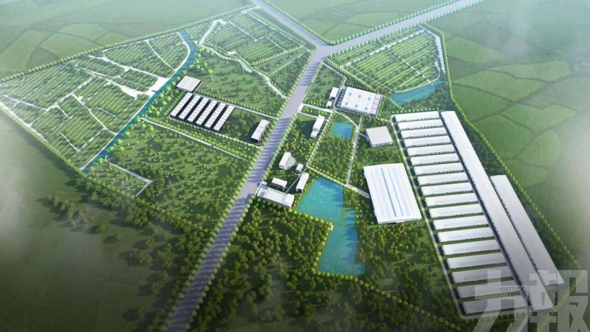 年供5.4萬噸鮮蛋支援灣區「菜籃子」