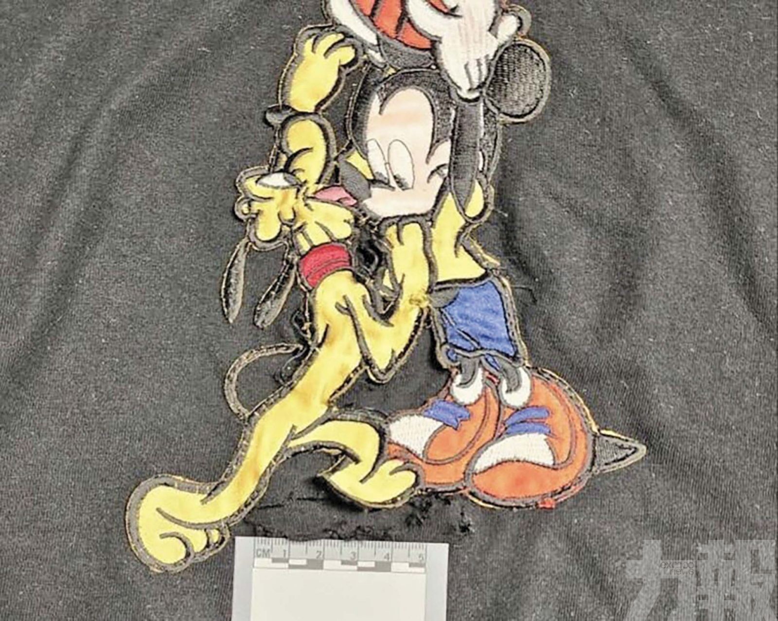 哈薩克夫婦悉尼賭場贏600萬元