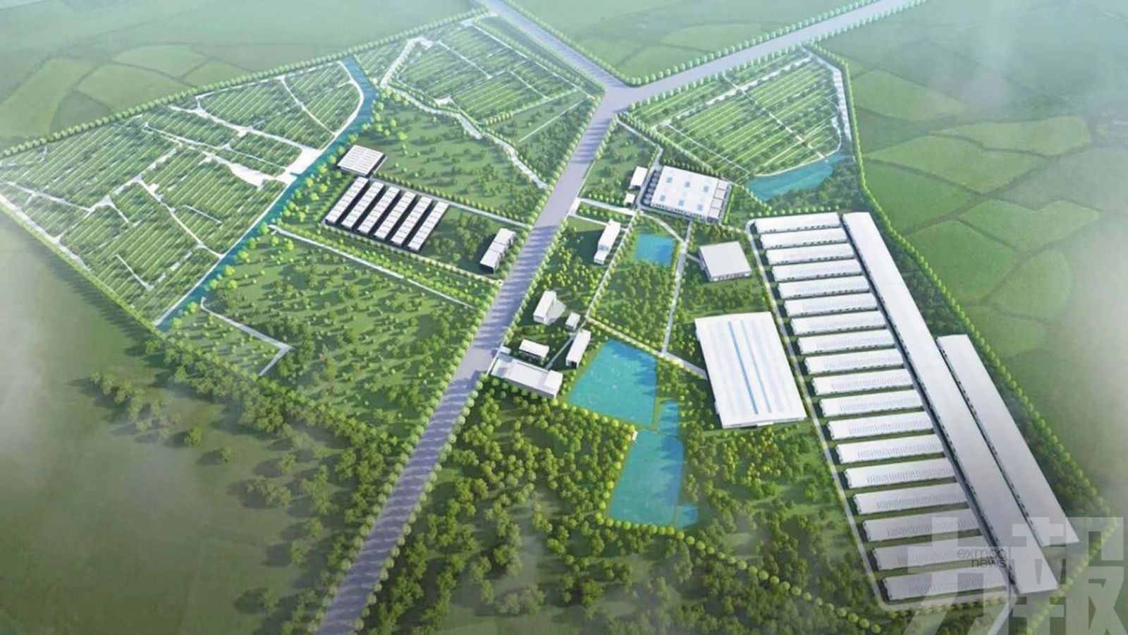 年供5.4萬噸鮮蛋支援灣區「菜籃子」