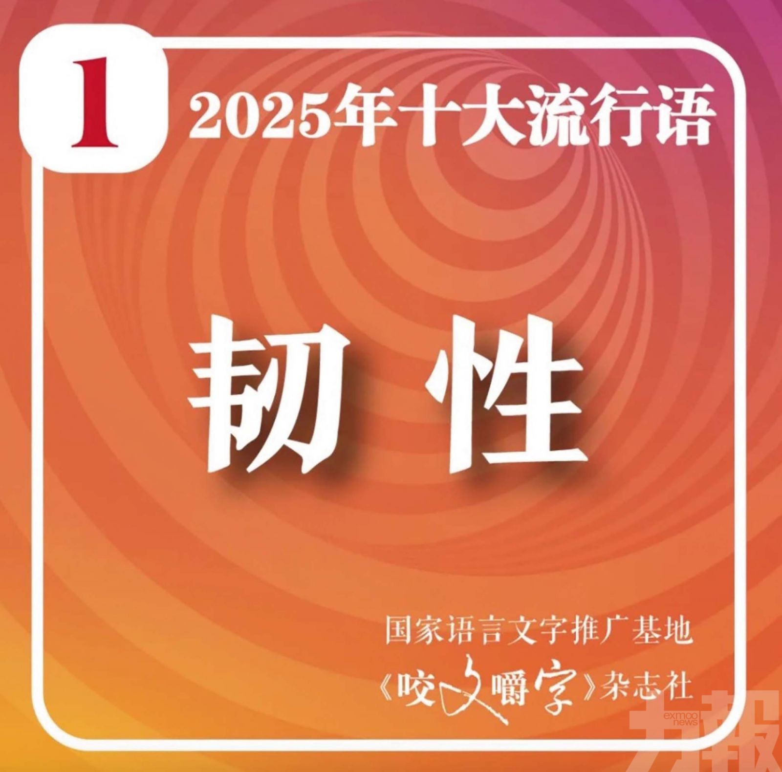 「韌性」奪冠映照智能時代