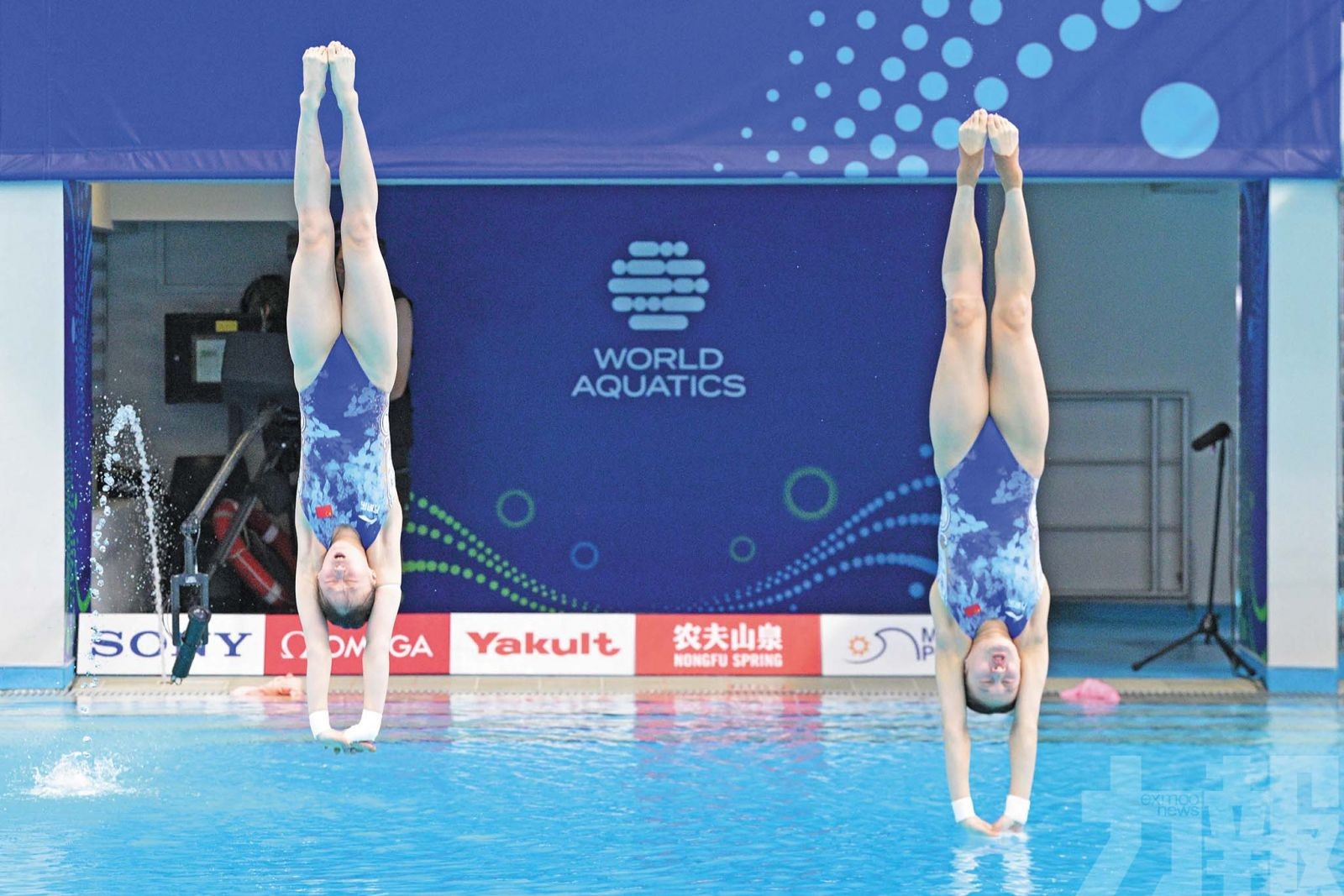 大匯演門票本周六免費派發