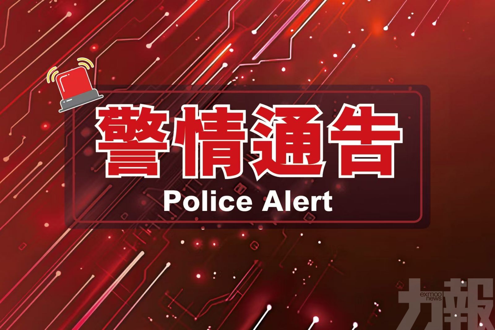 將女賭客毆暈捆綁再掠走20萬籌碼