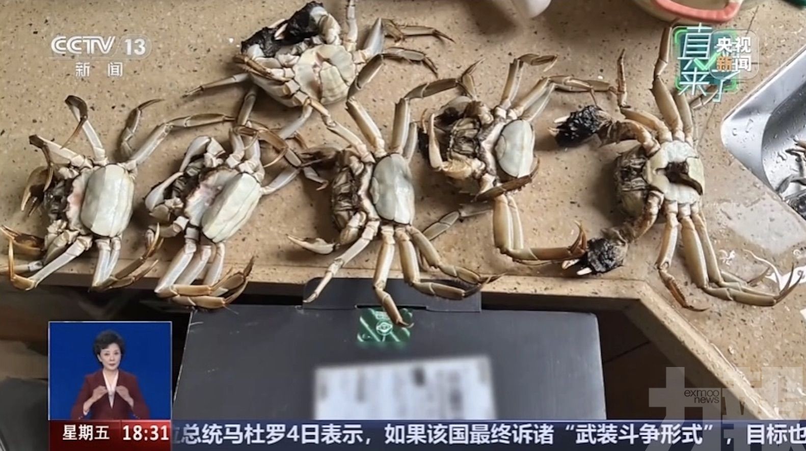 蘇州警方：拘留八日並追繳贓款