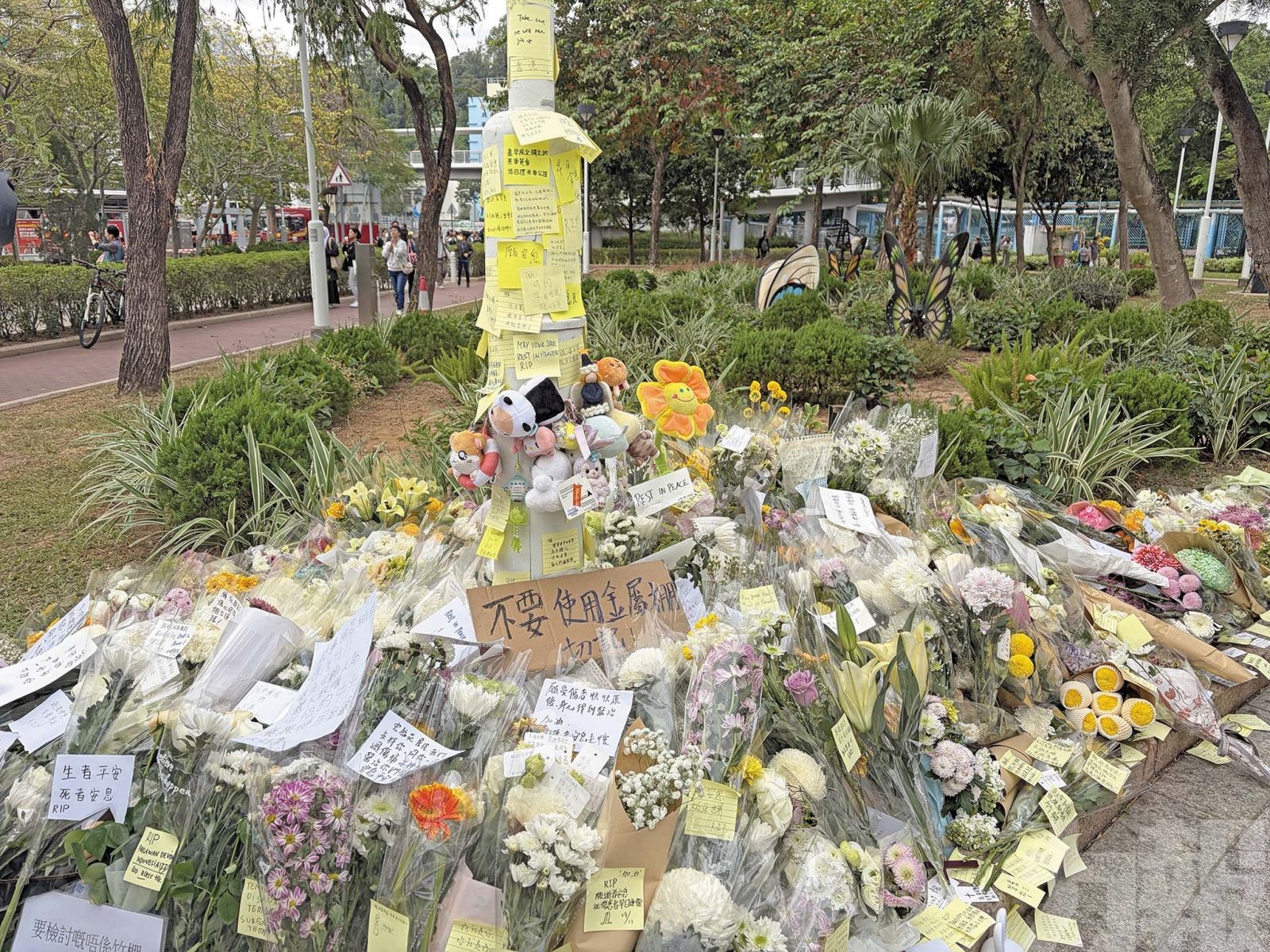 網民盛讚：真男人