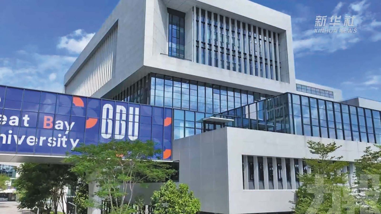 大灣區大學有哪些亮點？