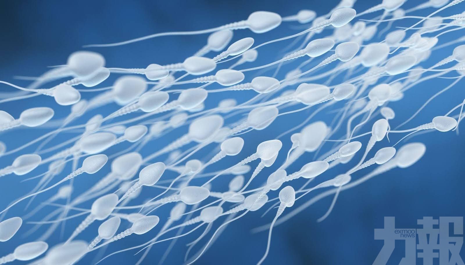 捐贈者致癌基因擴散14國近200人