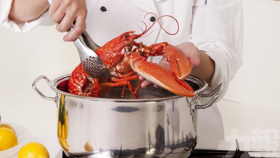 ​英國發佈新規擬禁活煮龍蝦