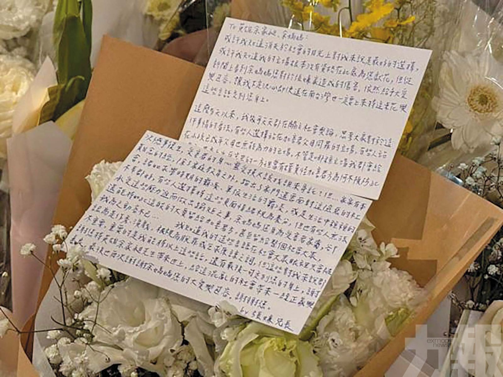 「謝謝妳把英雄帶到這世上」