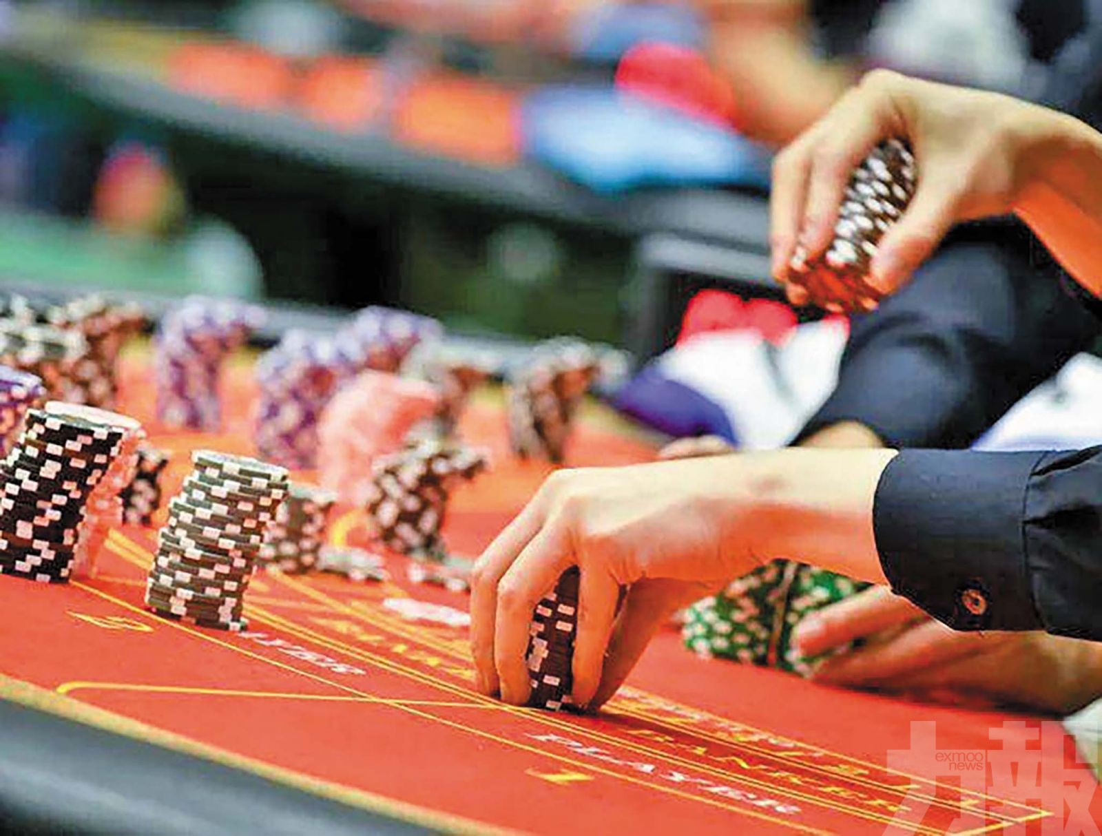 2025年澳門大事回顧