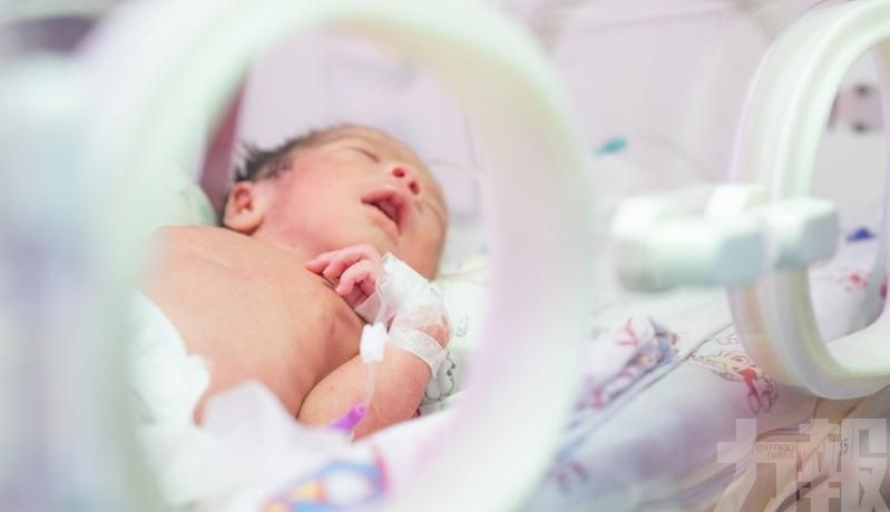 每名幼兒最高可領3,600元