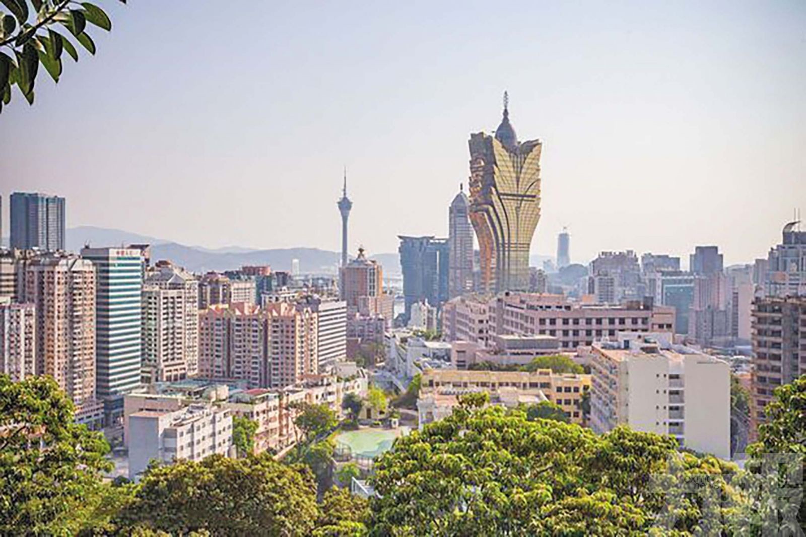 料本澳賭收今年續增5%