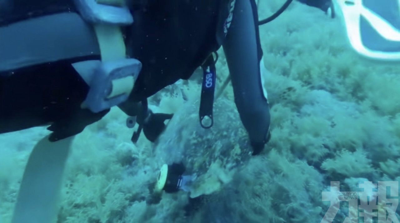 缺德中國旅客引發網絡撻伐