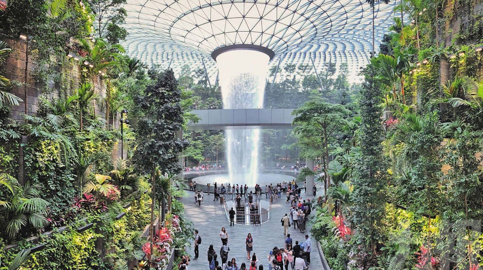 樟宜機場2025年客運量創新高