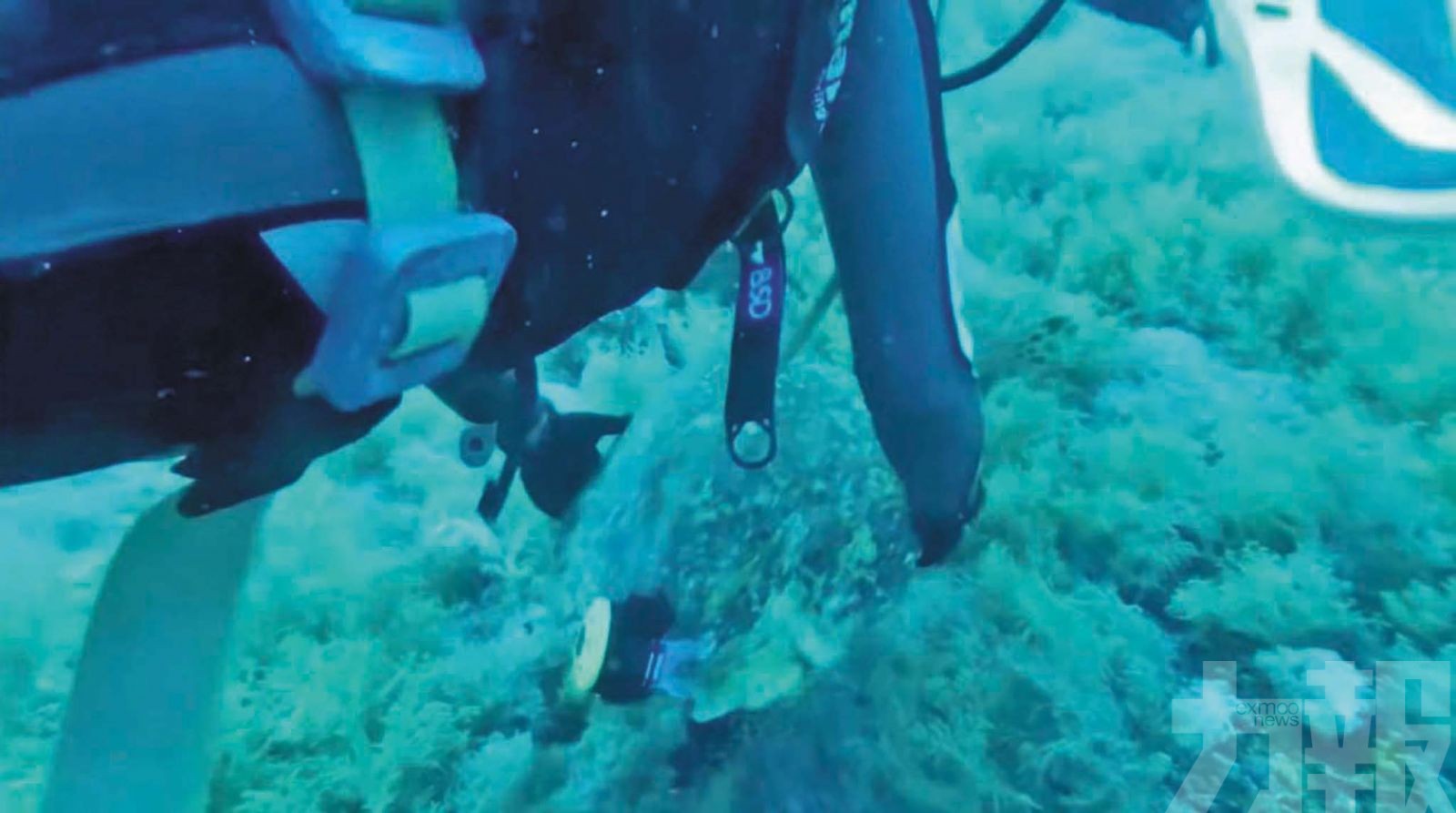 潛水客不文明行為引網絡撻伐