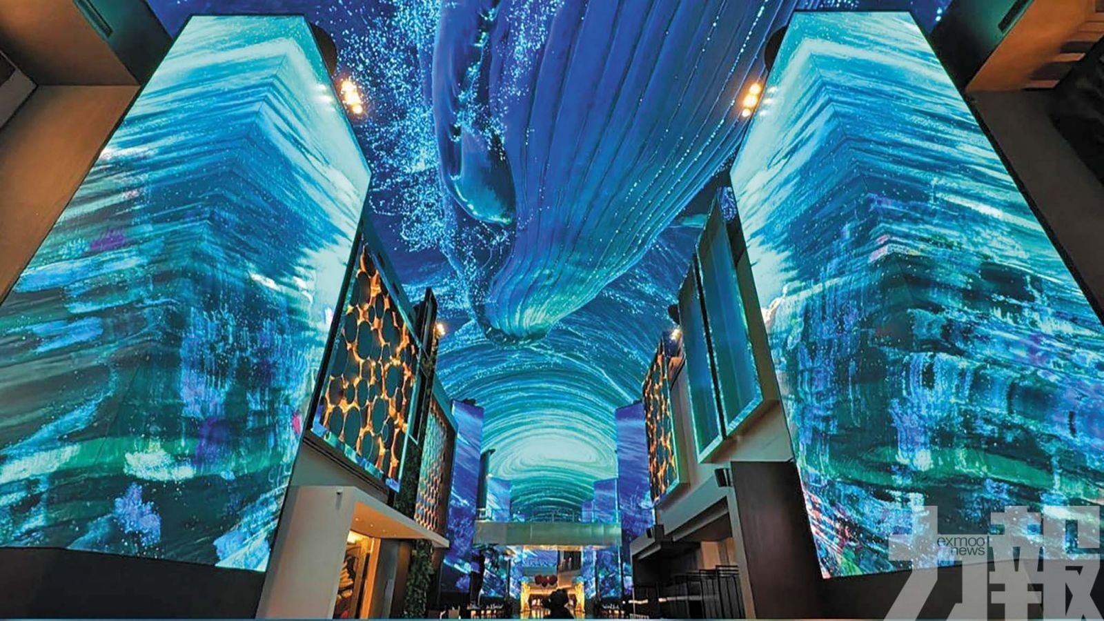 淨虧損明顯收窄