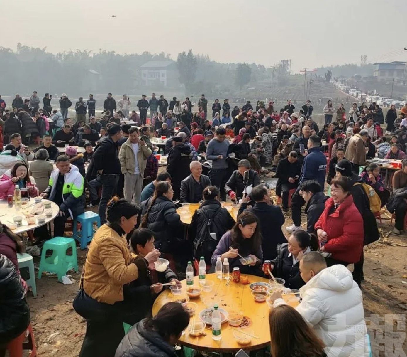 文旅局嘆：努力一年不如兩頭豬