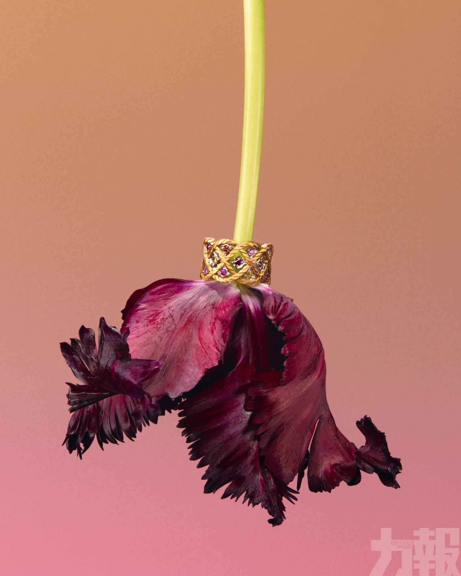 &Eacute;toil&eacute;e新系列澳門獨家鑑賞