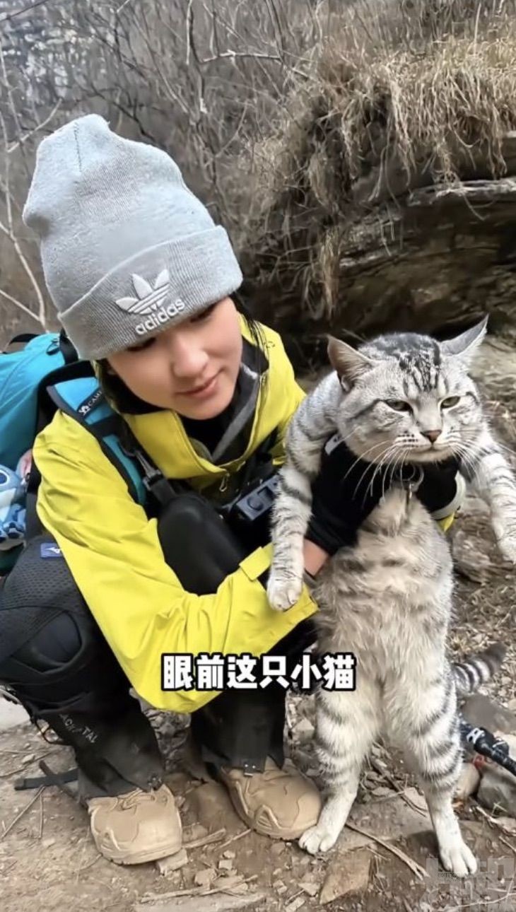 日爬三次太行山返家「超絕望」