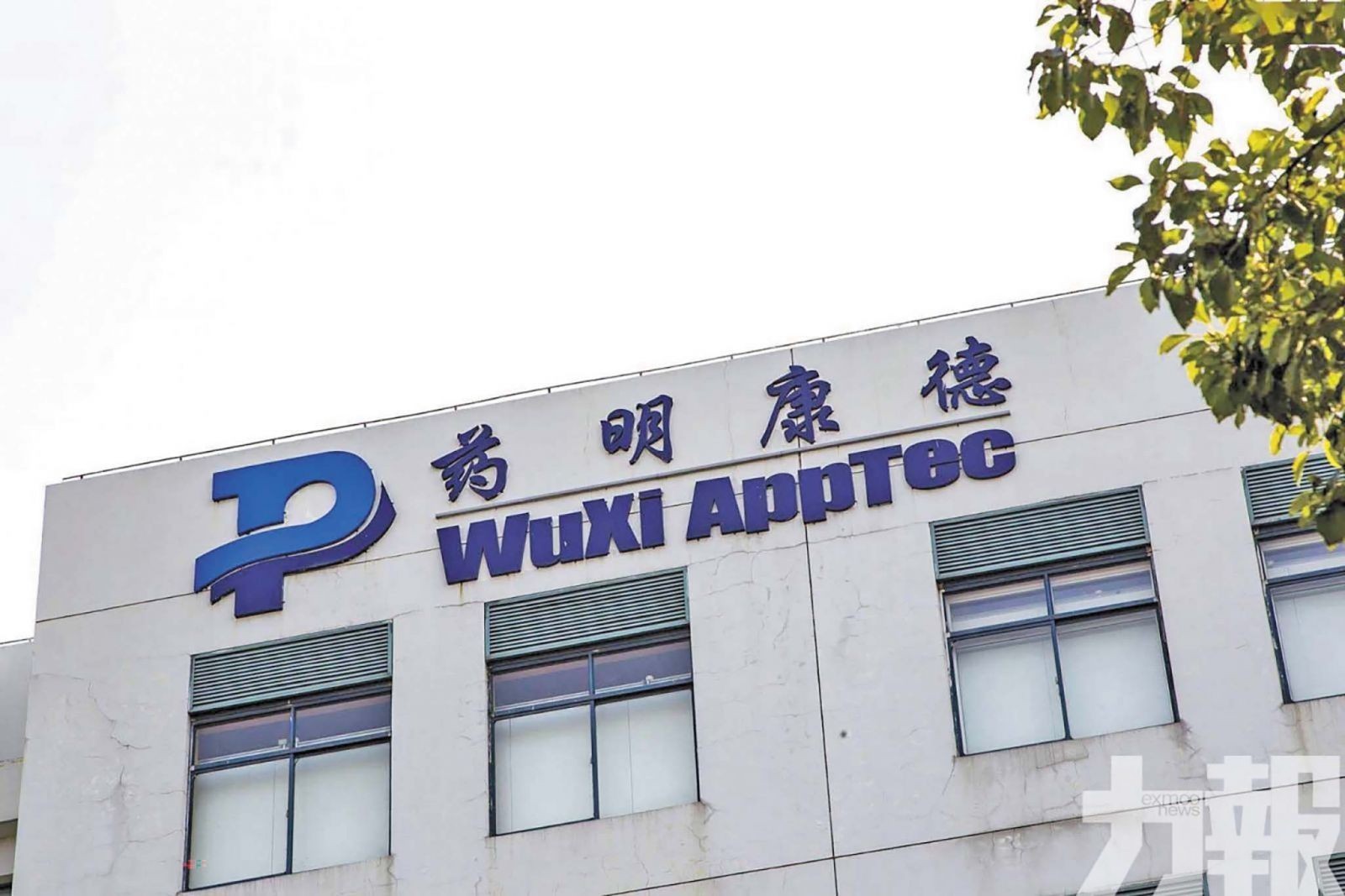 藥明康德去年淨利翻倍