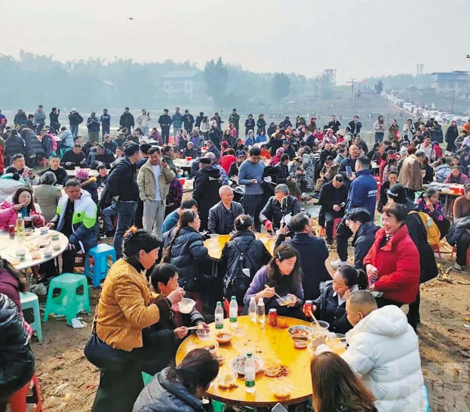 文旅局嘆：努力一年不如兩頭豬