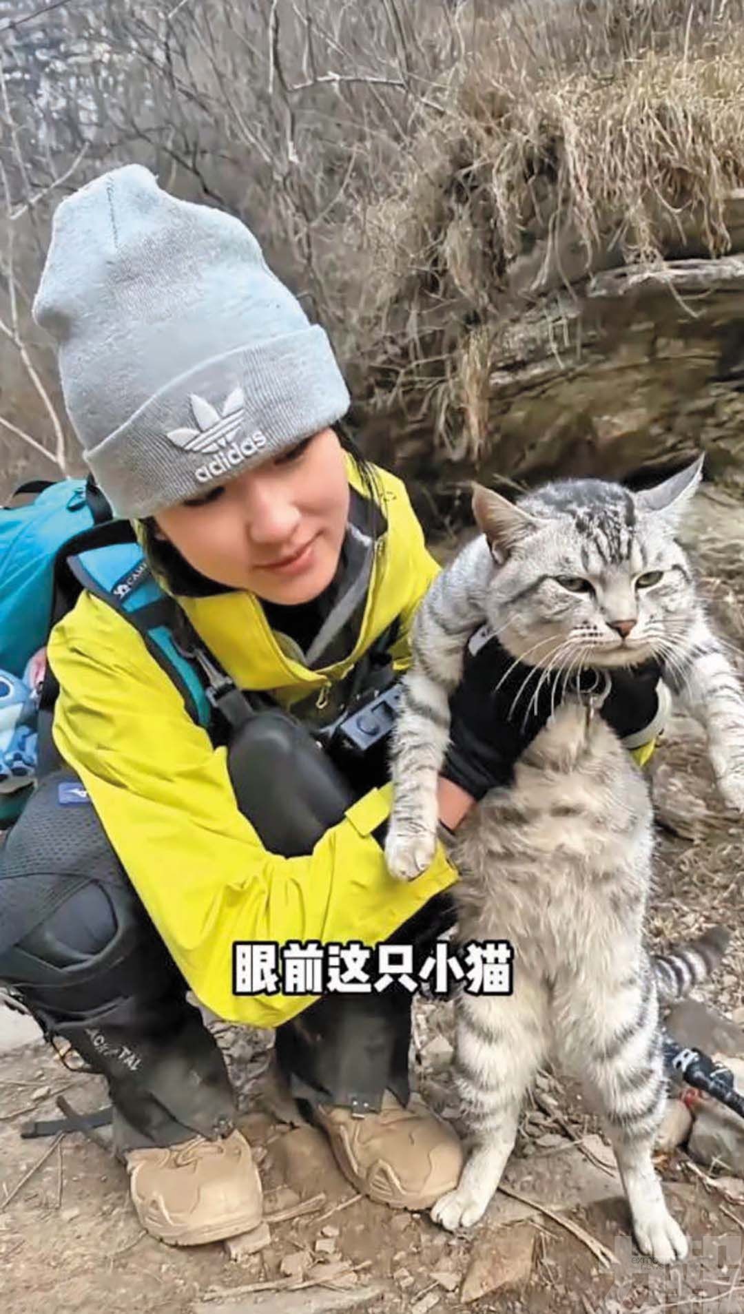 日爬三次太行山返家「超絕望」