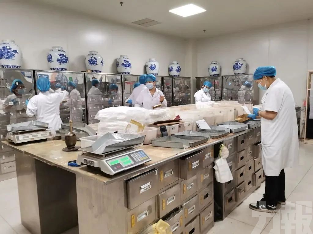 廣東推動中醫藥人才提質擴容