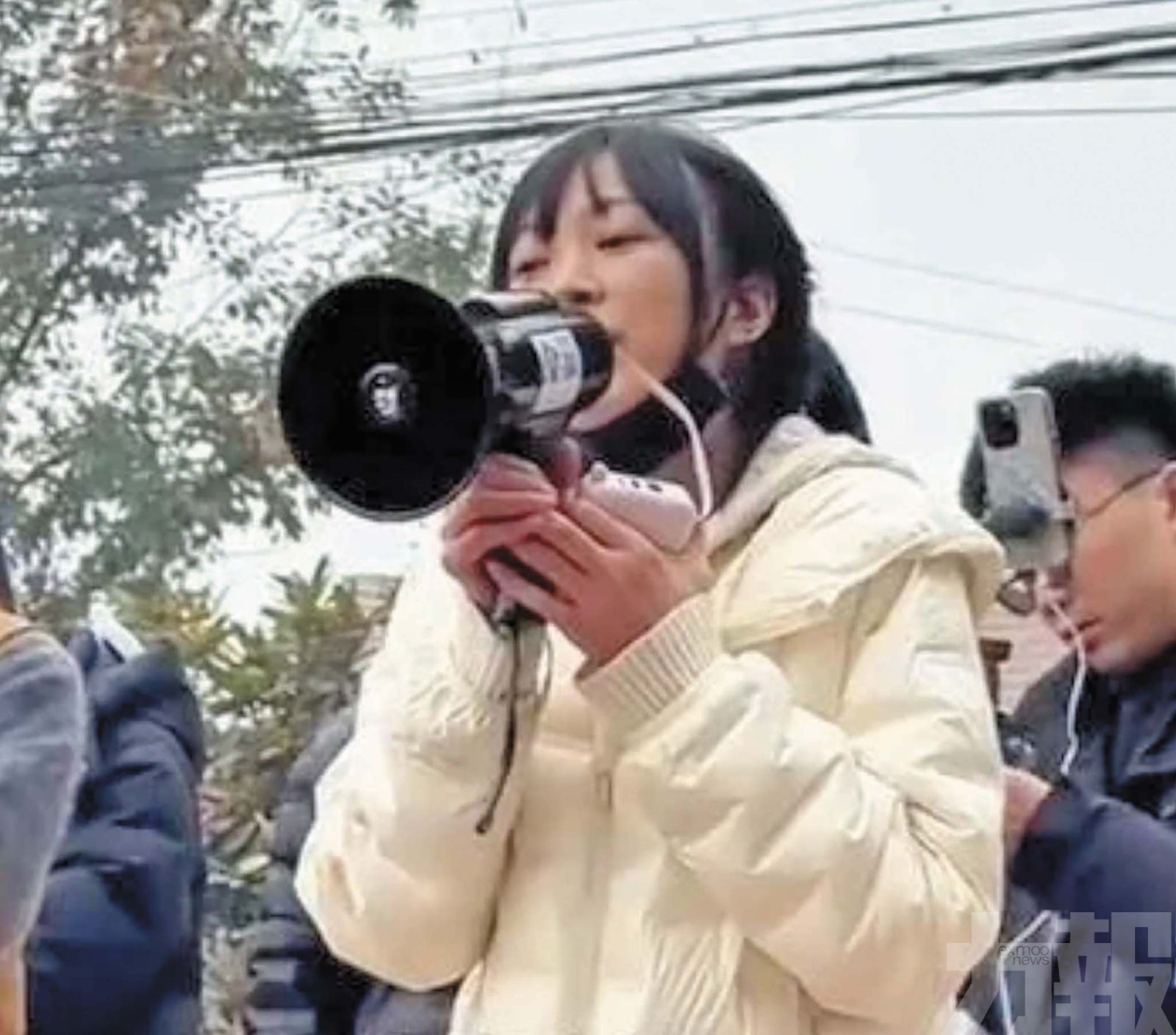 文旅局嘆：努力一年不如兩頭豬