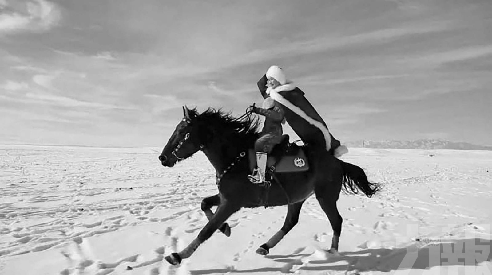 「最颯文旅局長」賀嬌龍不幸離世