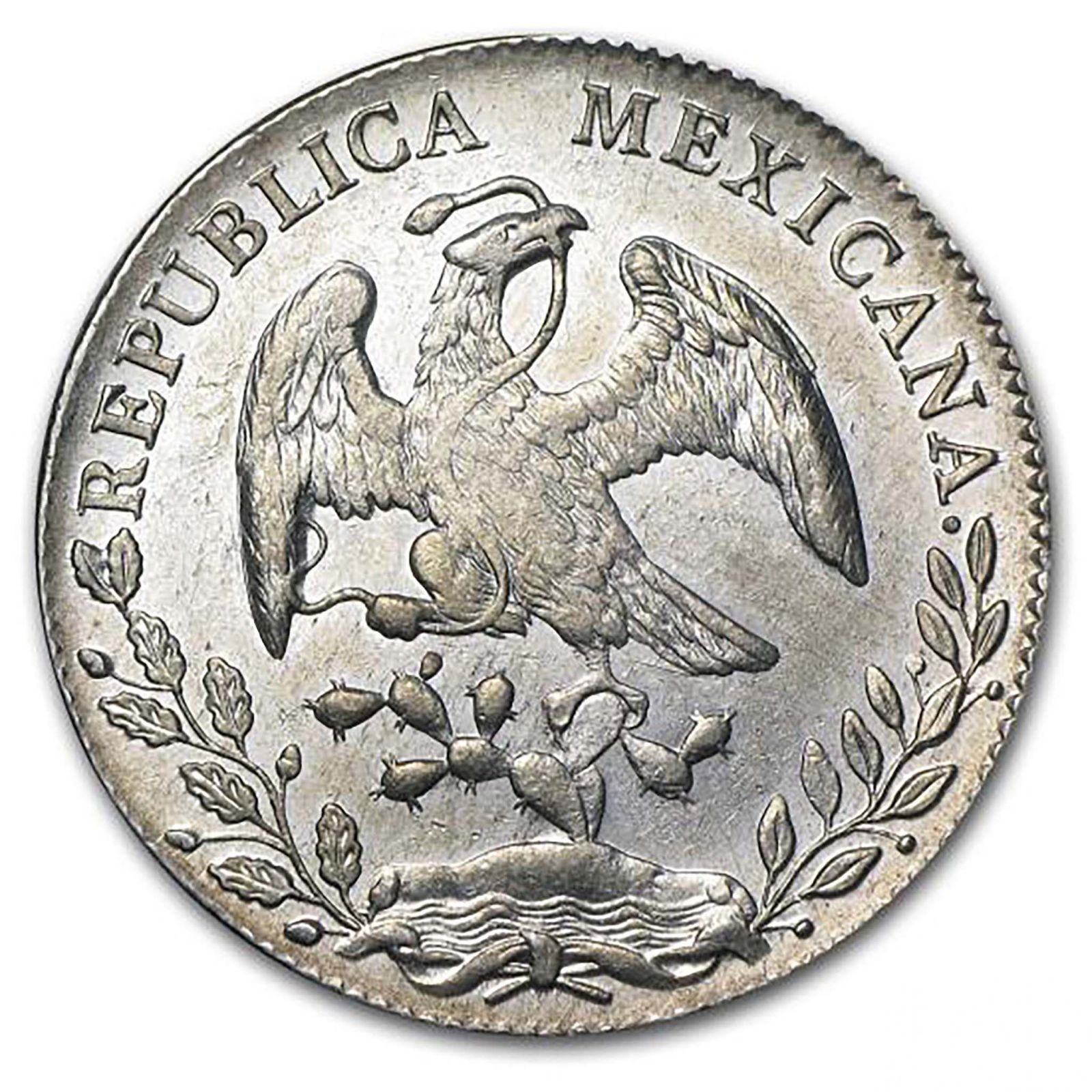 澳門貨幣制度的構建之路