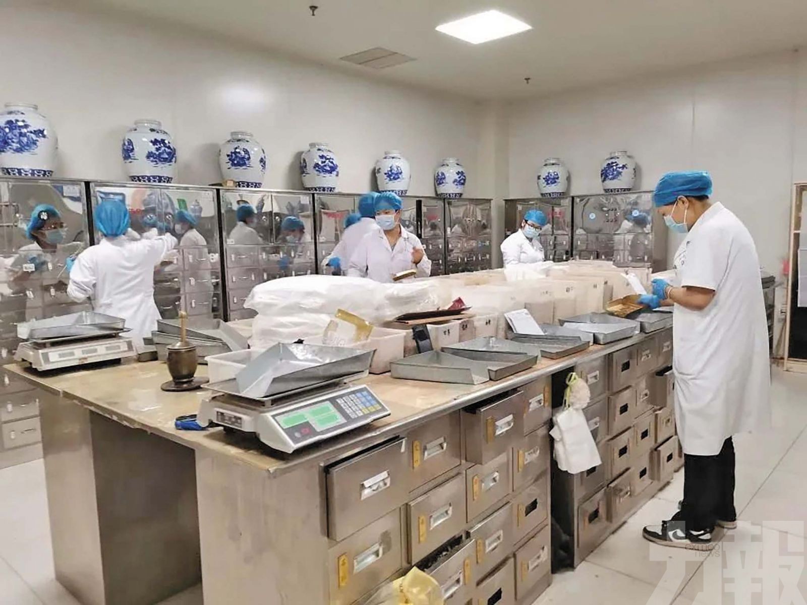 廣東推動中醫藥人才提質擴容