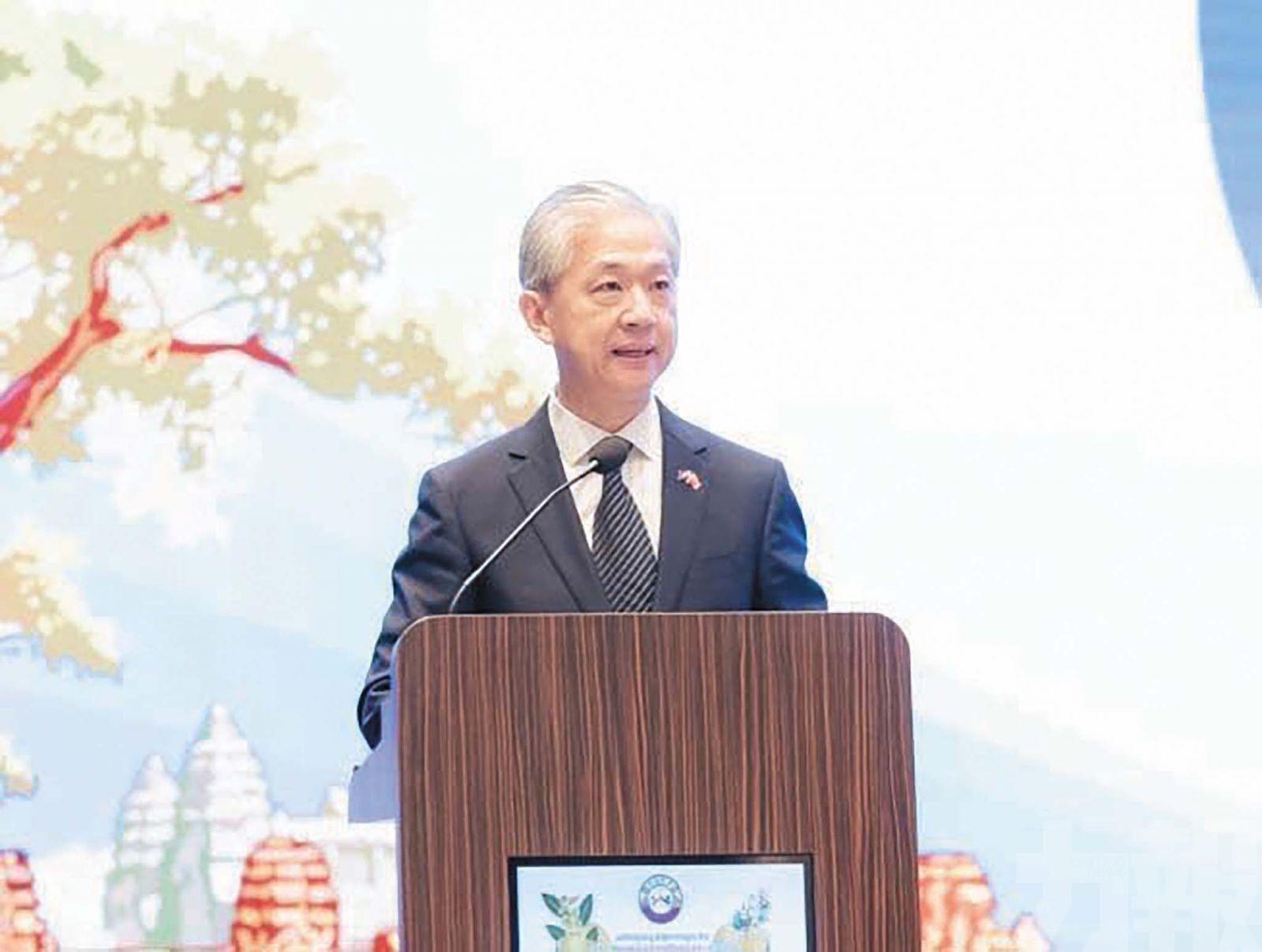 駐柬大使促嚴打網絡詐騙