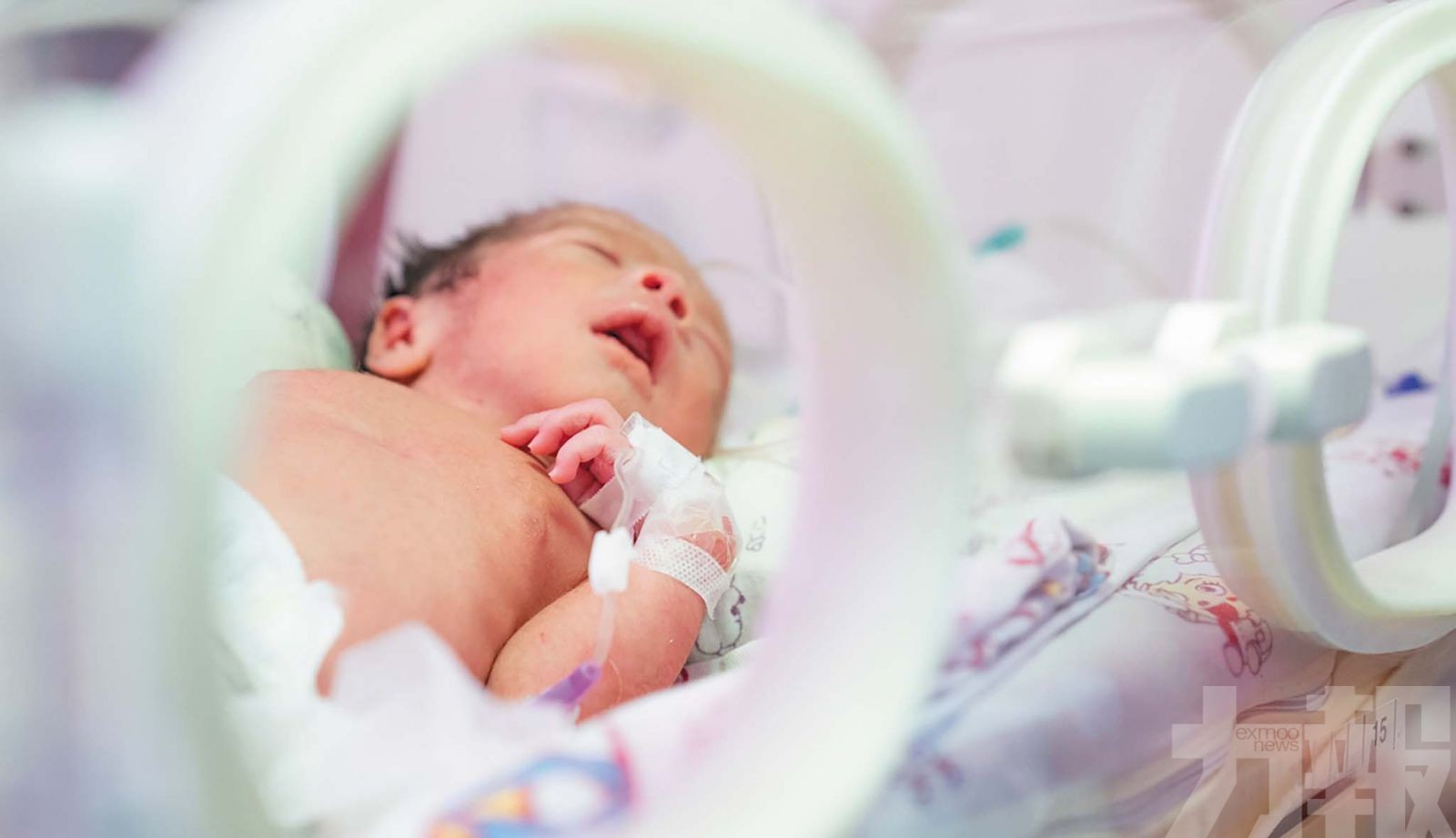 出生人口淨減162萬人 創1949年後新低