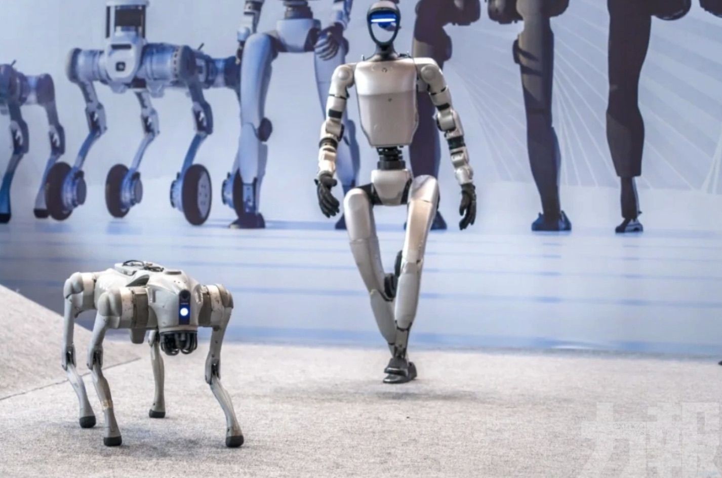 7月啟動首輪評價