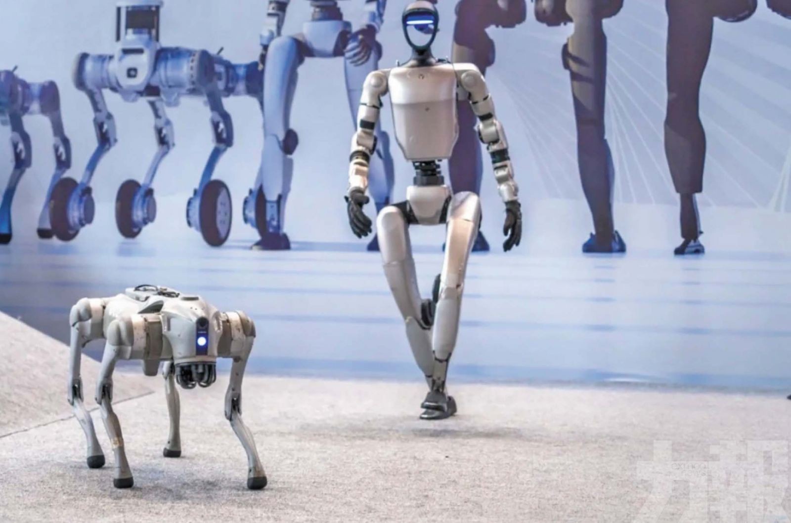 7月啟動首輪評價