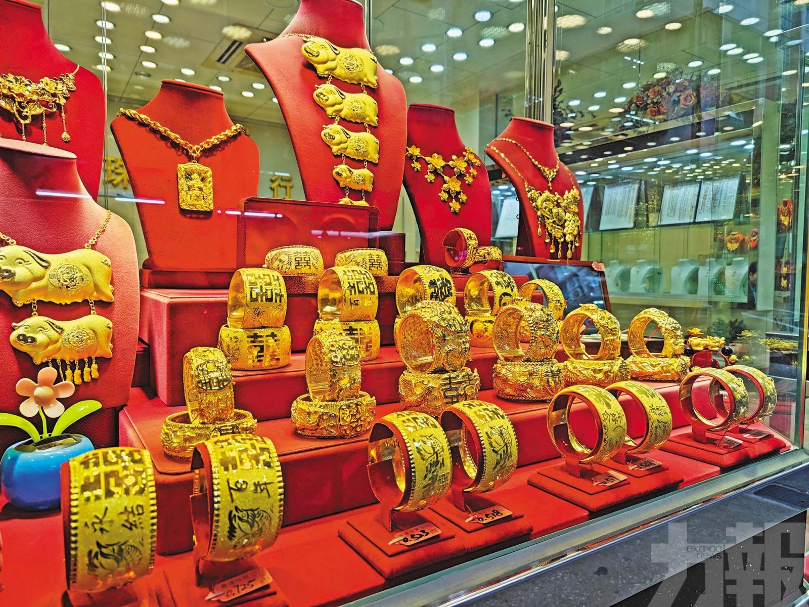 業者：五十年未見過