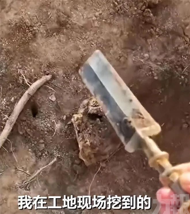 網：國寶文物只值這個錢？