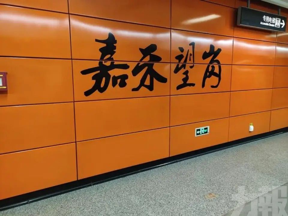 《嘉禾望崗》引發全網共鳴