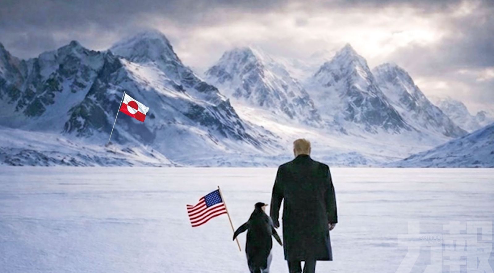 網群嘲：格陵蘭沒企鵝