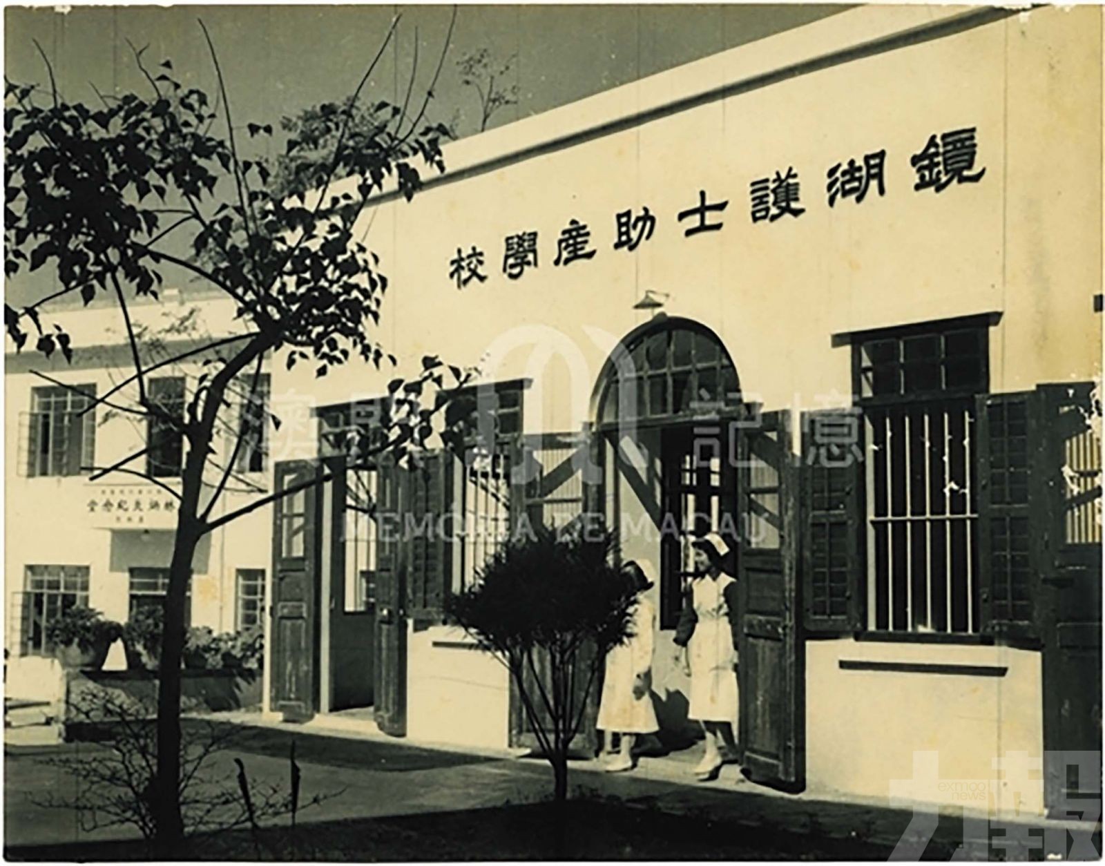 鏡湖護理學院的世紀守望