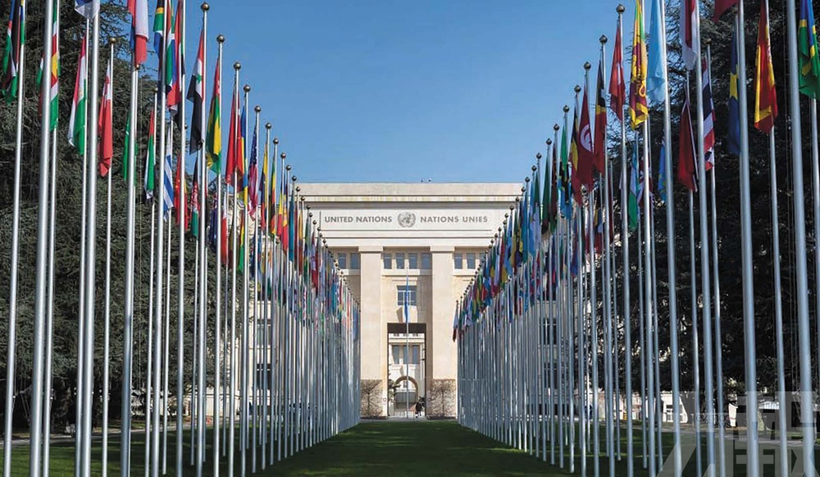 籲會員國儘速繳費