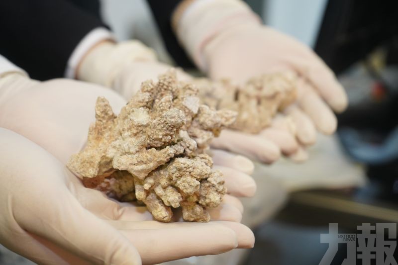 灣仔海關查獲合計重約472.9克