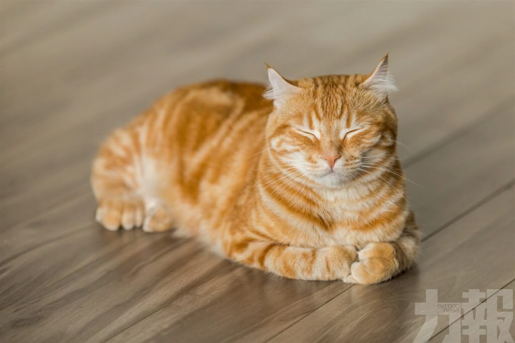 市場規模達3,678億泰銖