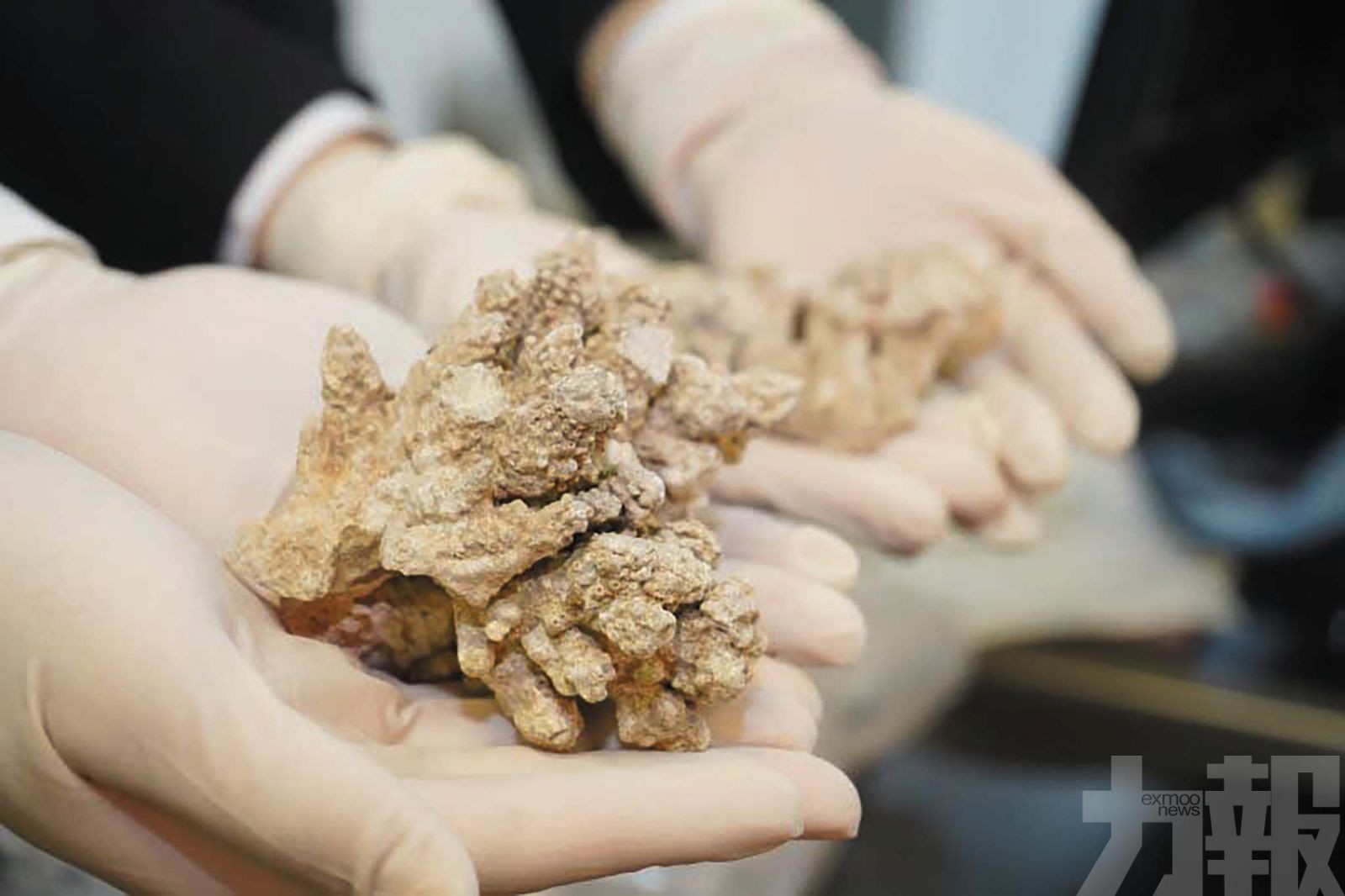 灣仔海關查獲合計重約472.9克