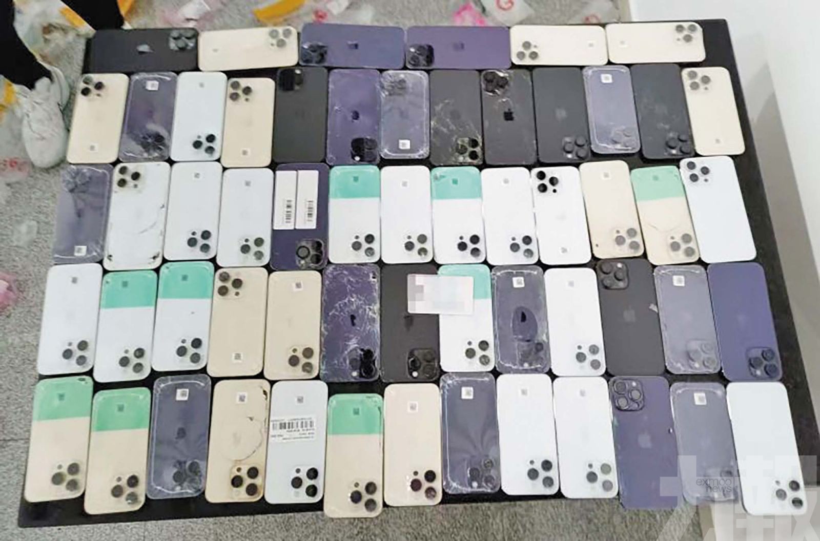 拱北口岸海關當場截查